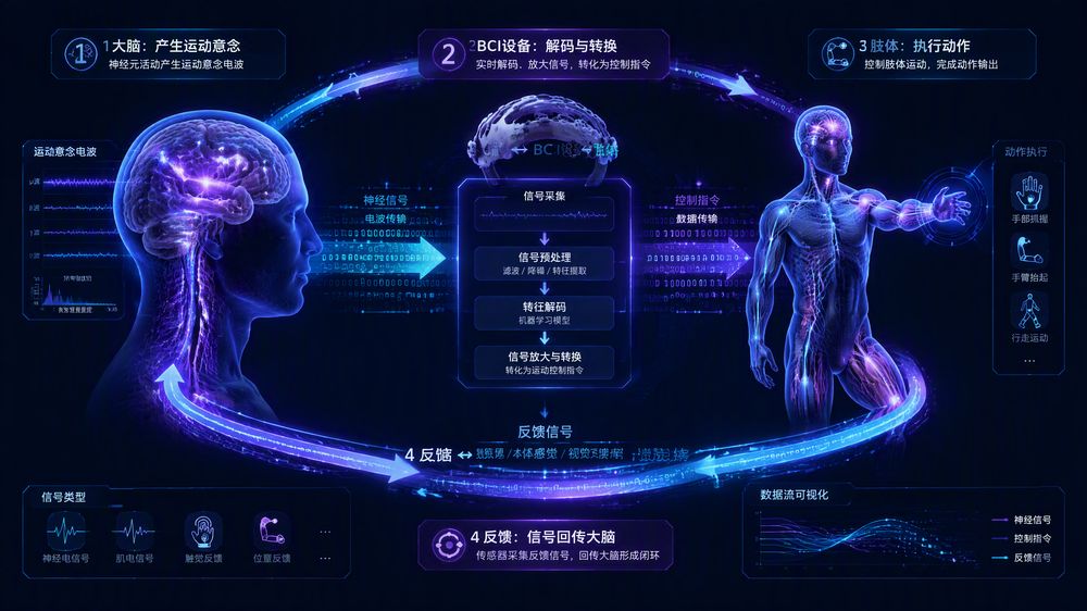 闭环传导通路