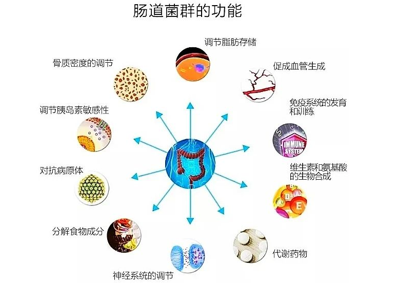 【科学解读】益生菌对肿瘤患者的真实作用！